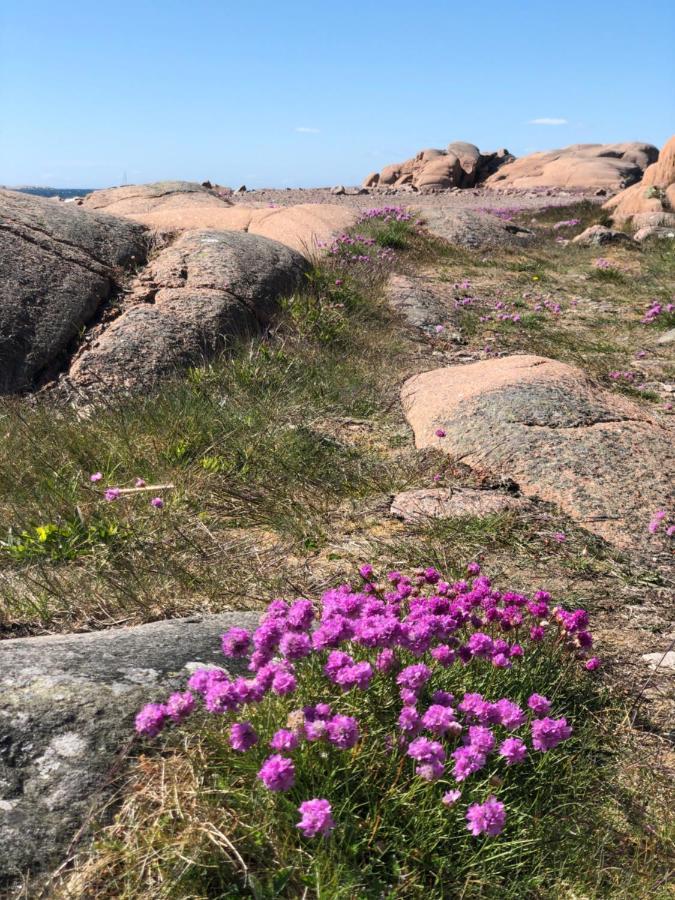 Appartamento Havings Skafferi Lysekil Esterno foto